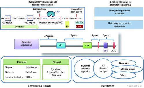 傳統行業與人工智能融合 材料、化學、物理、生物的發展與未來展望