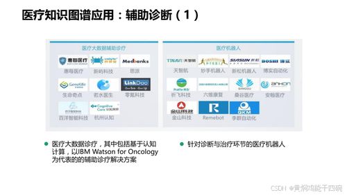 人工智能賦能醫(yī)療 從信息化技術(shù)方案到知識圖譜與軟件開發(fā)