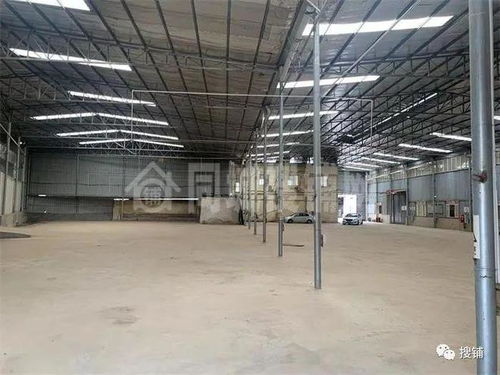中江興隆鎮清河6000平廠庫房出租，可分租，適合廣告設計等多元化用途